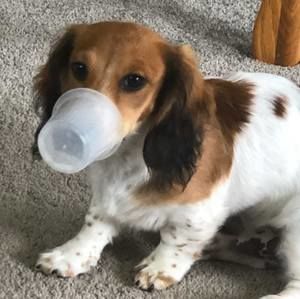 Meet your Posher, Marcy